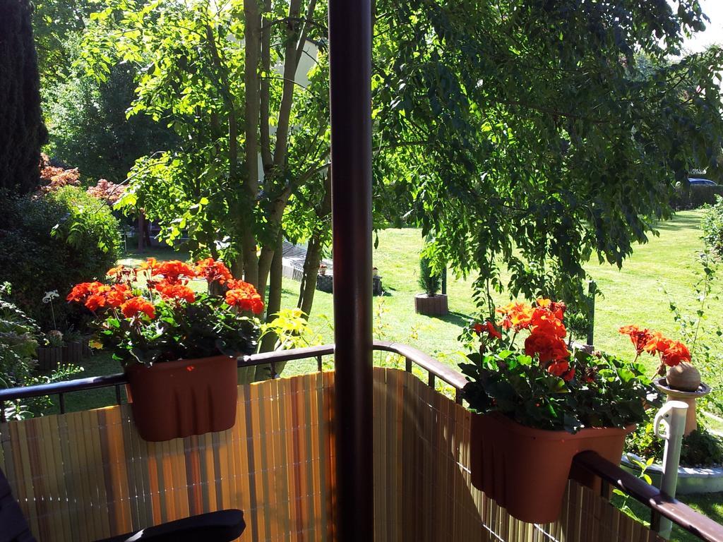 Gaestehaus Guter Stern Bad Steben Δωμάτιο φωτογραφία